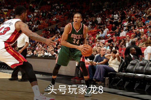 头号玩家龙8公司简介图片